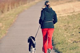 vrouw wandelt met hond